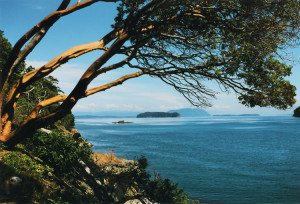 Sucia Island - Sail the San Juans