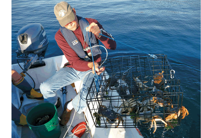 san juan island crabbing activities