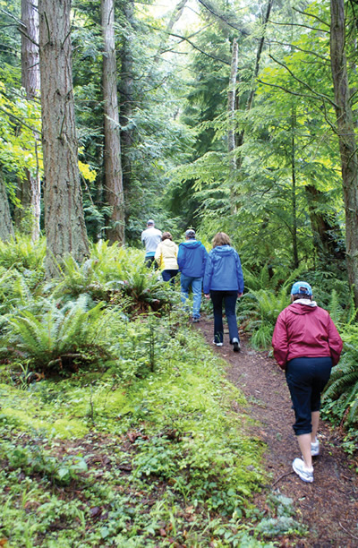 hiking activities in san juan island sailing charters